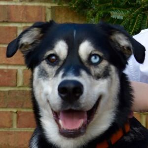 Meet your Posher, Aidan